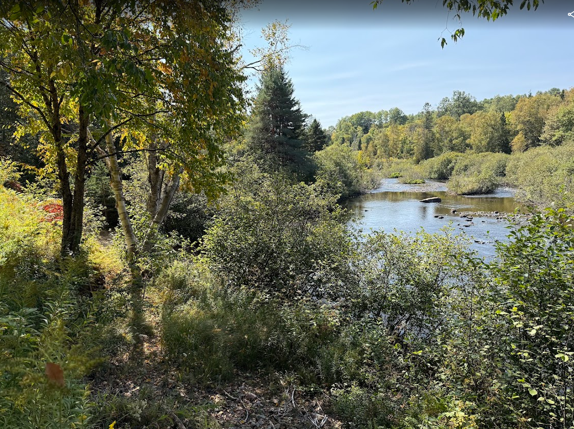 Vegetated riparian buffer