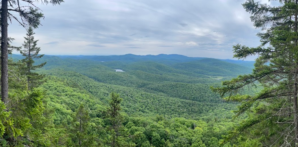 Mont Gorille Hike: Magnificent Views Just Minutes from the Refuge
